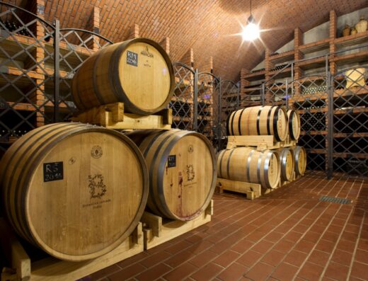 The Sommelier’s Private Reserve: An Exclusive 4-Week Journey Through Czech Viticulture