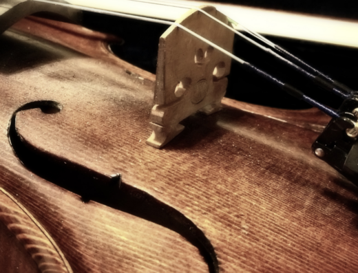 The Voiced Guitar: A 7-Session Scientific Acoustic Guitar Build